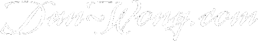 dan-wong.com logo